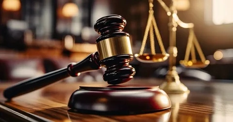 محامي شركات في مصر