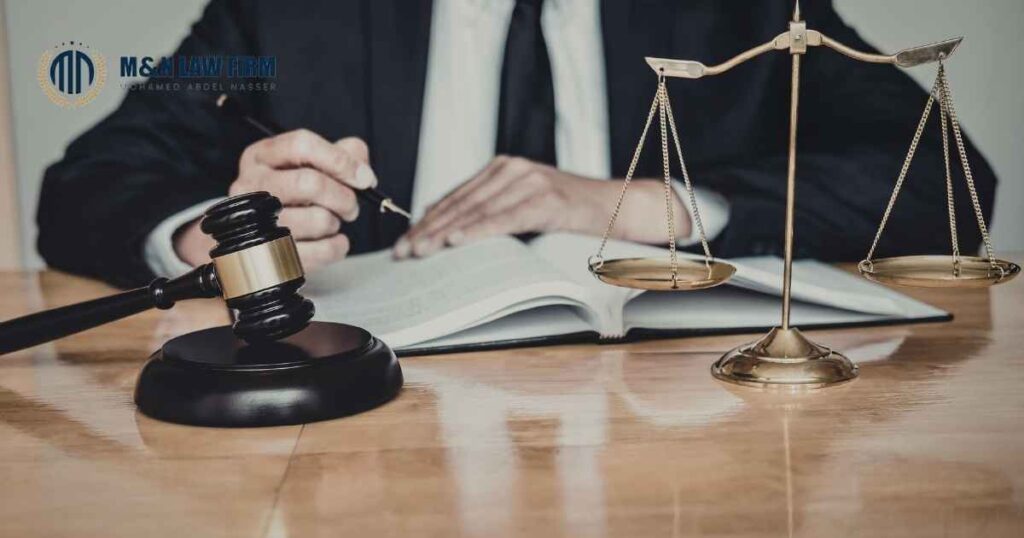 ماذا يأتي بعد تأسيس الشركة في مصر